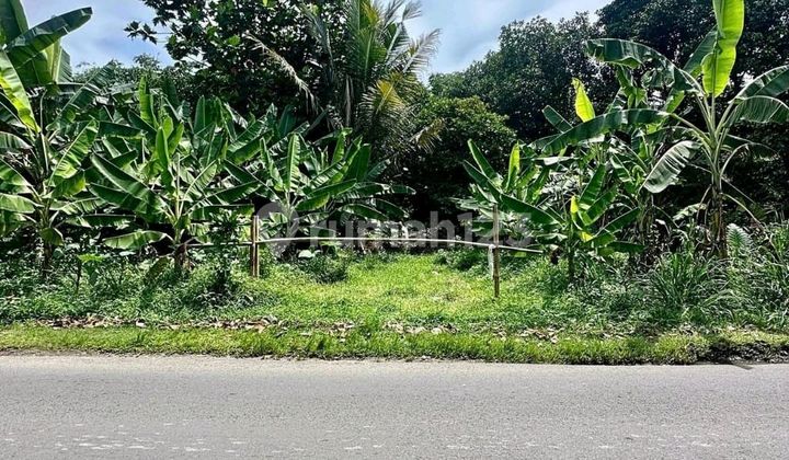 Tanah Sawangan - Depok ~ Luas 1.7 Ha ~ Dekat Ke Pintu Tolltoll