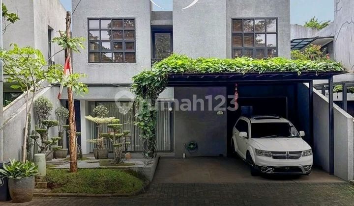 Veteran ~ Lt/lb 234/300 ~ Town House Veteran ~ Lt/lb 234/300 ~ Town House