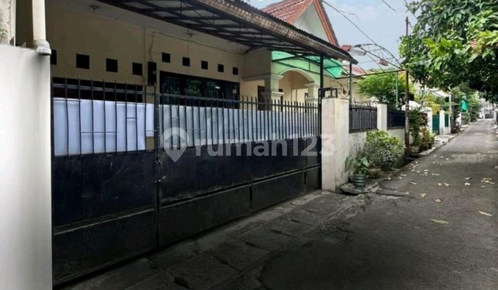 Tebet ~ Lt/lb 245/270 ~ Two Gate System