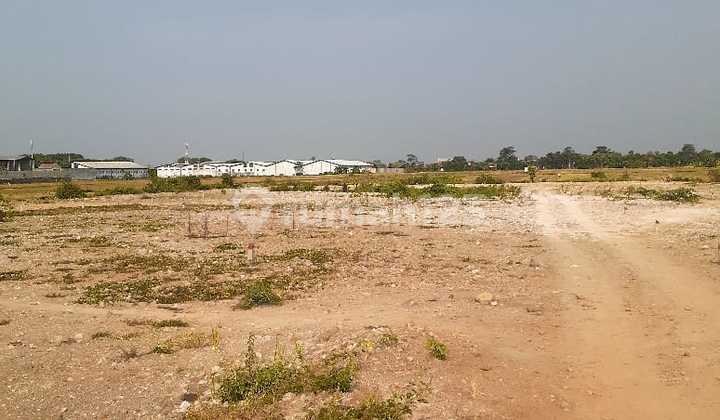 Land for Sale Ready to Build in Batang, Central Java Land for Sale Ready to Build in Batang, Central Java