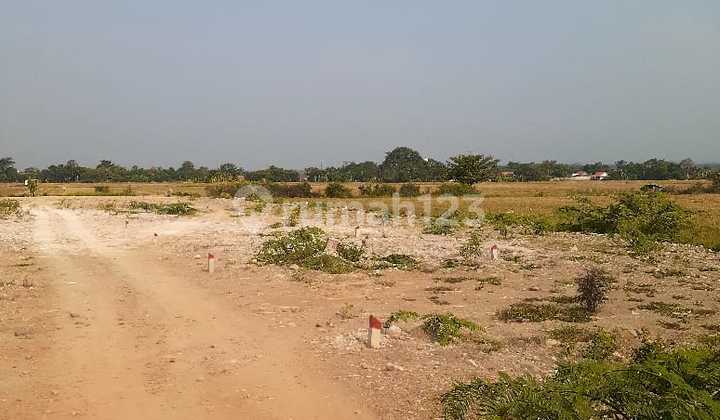Land for Sale Ready to Build in Batang, Central Java Land for Sale Ready to Build in Batang, Central Java