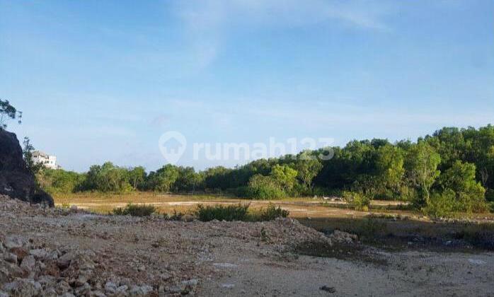 Tanah Premium Berlokasi Di Belimbing Sari Pecatu, Kuta Selatan Bali. Cocok Di Buat Hotel, Komplek Villa, Resort, Dan Lain Lain.