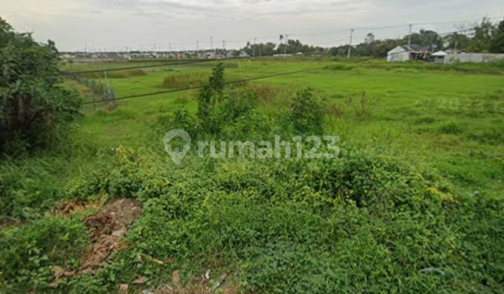 Lahan di Cikarang Jawa Barat, Cocok Buat Perumahan Dan Ruko Komersial