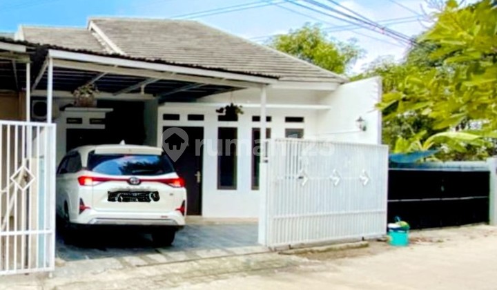 Rumah 1 Lantai di Gunung Sindur - SHM Siap Huni Rumah 1 Lantai di Gunung Sindur - SHM Siap Huni