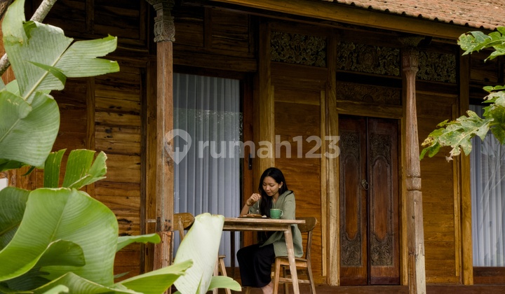 Studio Villa For Long-Term Rent In Wanagiri, Near Bedugul - Cool & Peaceful Retreat Studio Villa For Long-Term Rent In Wanagiri, Near Bedugul - Cool & Peaceful Retreat