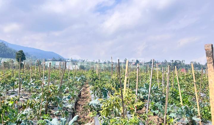  Tanah 7000m² Cocok Untuk Wisata Kebun Buah Ngargoyoso 