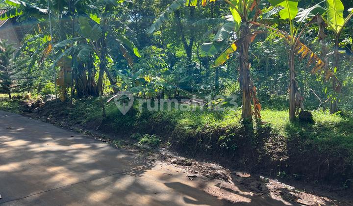 Flat Land 400M North of Kerjo Sub-District Office Flat Land 400M North of Kerjo Sub-District Office