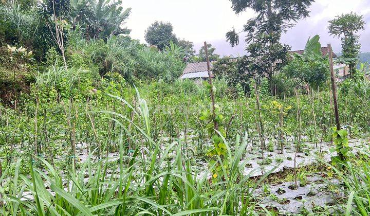 View Cantik 1000m² Kemuning, Karanganyar, Solo  1