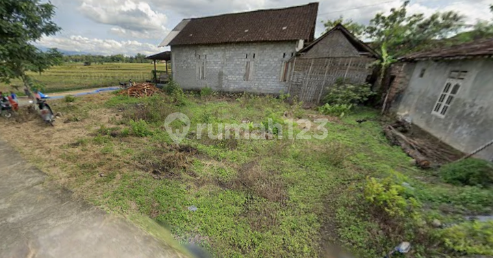 Land 150Mtn View of Mount Lawu East Jambangan Market Kedawung