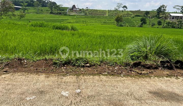 Tanah Karangpandan 1670M Datar Subur Karanganyar Tanah Karangpandan 1670M Datar Subur Karanganyar
