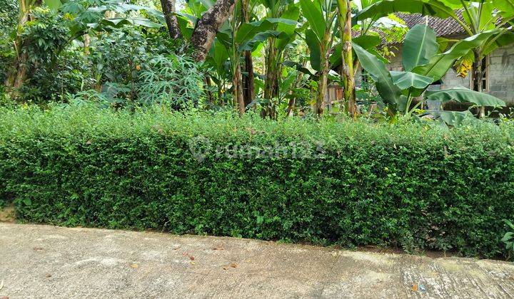 Kebun Durian 1282m² Siap Panen Utara Pasar Mojogedang  1