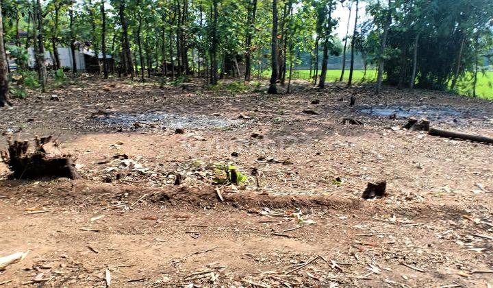 Dijual Tanah Cocok Untuk Investasi Sragen Jateng 2