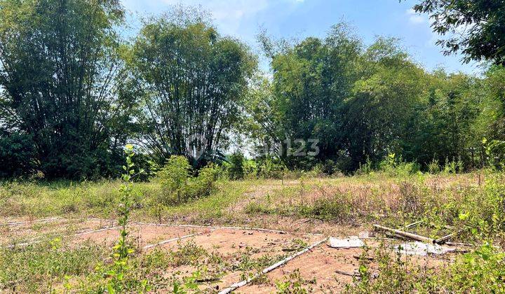 Tanah Pekarangan Karangmalang Sragen 4