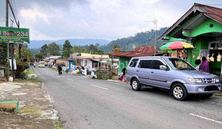 Tanah Istimewa Dekat Candi Sukuh Karanganyar