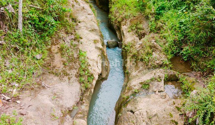 Jual Tanah Subur 50 Ribu Permeter Sragen 3