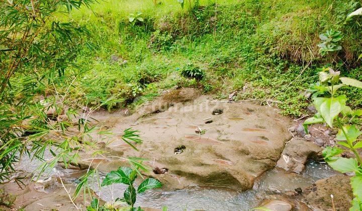 Jual Tanah Subur 50 Ribu Permeter Sragen 6