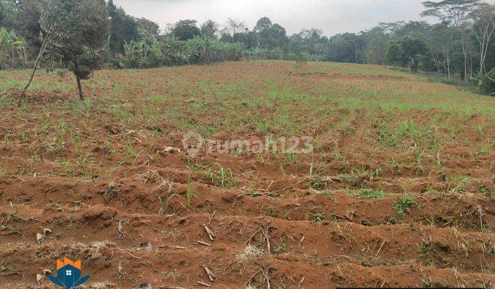 Dijual Tanah Datar 26658m² Zona Kuning Karanganyar 5
