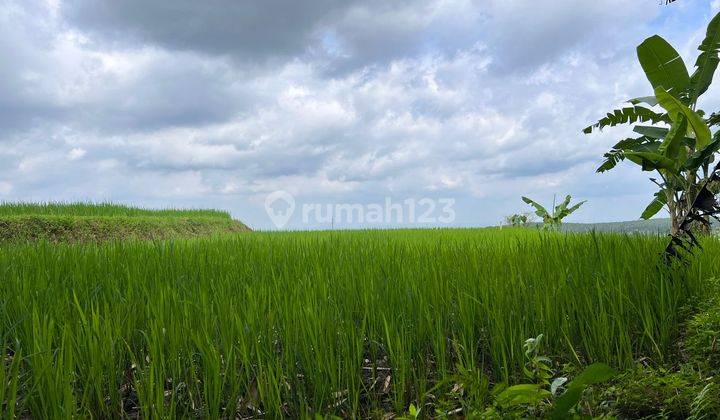 Rumah Siap Huni Jln Dpu Kerjo Karanganyar 7