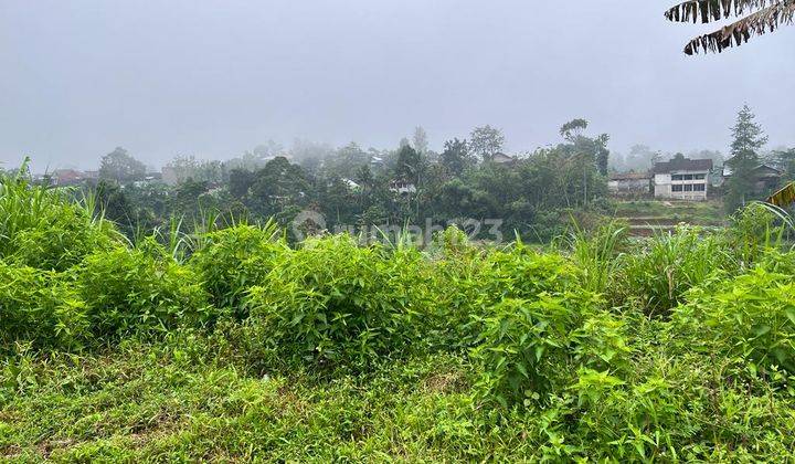 Dijual Tanah Ada Air Terjunnya Ngargoyoso Karanganyar 2