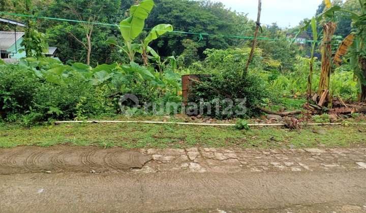 Tanah 1625m2 Dekat Sungai Sambirejo Sragen 4