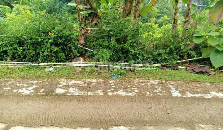 Tanah 1625m2 Dekat Sungai Sambirejo Sragen 6