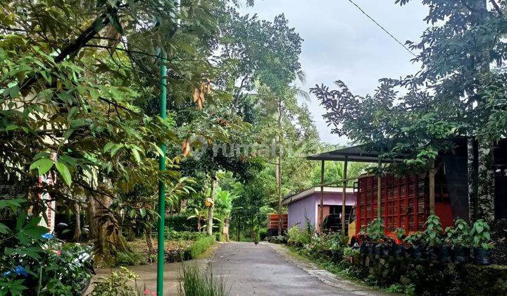 Jual Tanah Kebun Durian Jumantono Karanganyar 1