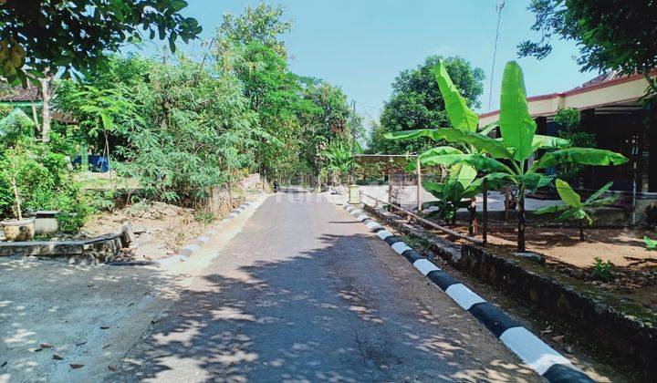  Dijual Rumah 1775m2 Siap Huni Kedawung Sragen 8