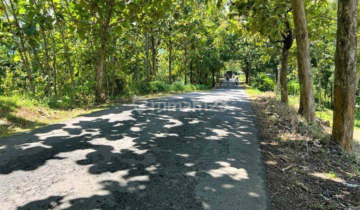 Tanah 10hektar Hanya 200rb m Kerjo Karanganyar 6