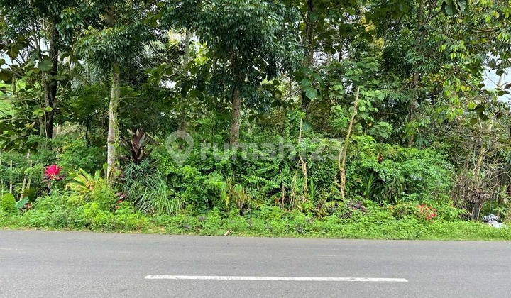 Jual Kebun Durian Jl Raya Karangpandan Karanganyar 3