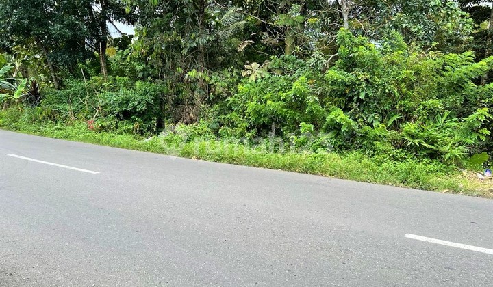 Jual Kebun Durian Jl Raya Karangpandan Karanganyar 4