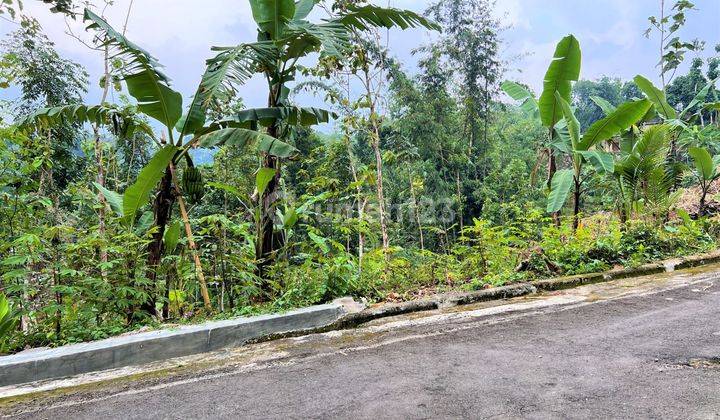 Jual Tanah Asri 600m2 Karangpandan Karanganyar 2