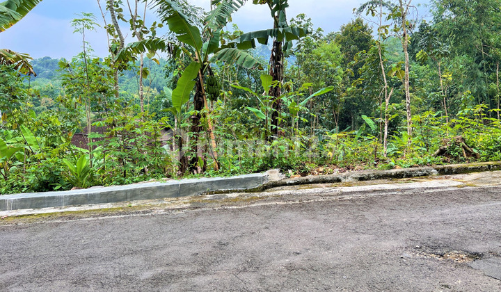Jual Tanah Asri 600m2 Karangpandan Karanganyar 3