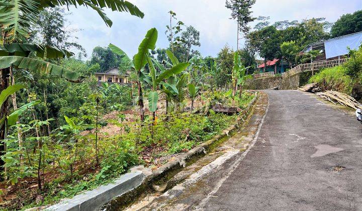 Jual Tanah Asri 600m2 Karangpandan Karanganyar 5