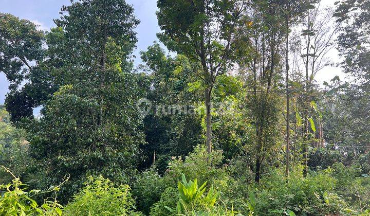 Jual Tanah 1365m2 Kemuning Ngargoyoso Karanganyar 3