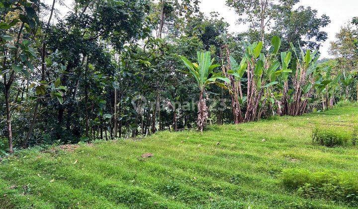 Dijual Tanah 2000m² Ngargoyoso Karanganyar 2