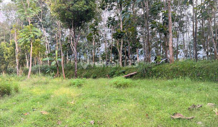 Dijual Tanah 2000m² Ngargoyoso Karanganyar 3