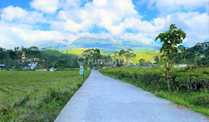 Tanah Istimewa Dekat Kebun Teh Kemuning Karanganyar 1