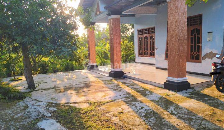 Rumah Mewah 450m2 Siap Huni Masaran Sragen 1