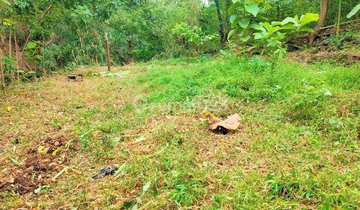 Jual Tanah Pekarangan 45 Juta Kedawung Sragen 2