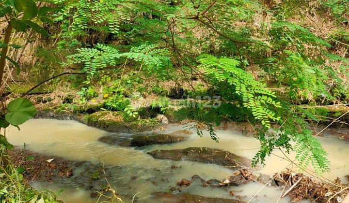 Jual Tanah Pekarangan 45 Juta Kedawung Sragen 3