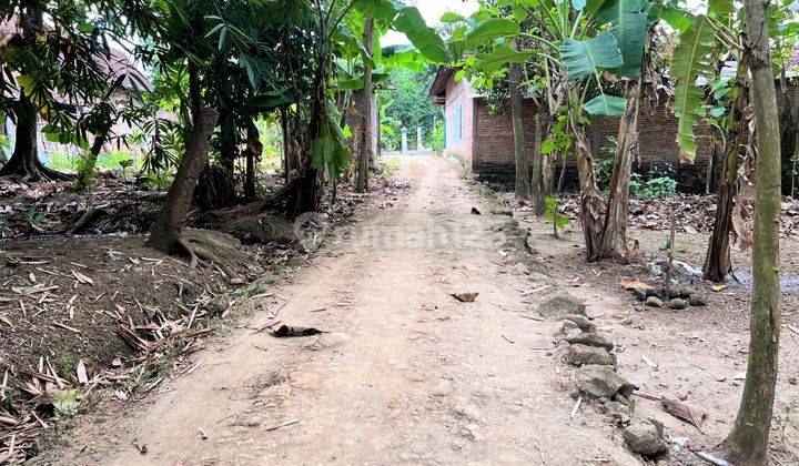 Jual Tanah Pekarangan 45 Juta Kedawung Sragen 4