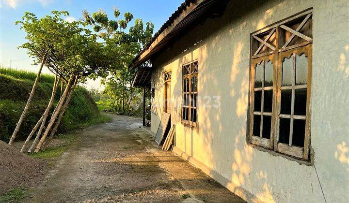 Dijual Rumah Asri Tengah Sawah Kedawung Sragen 3