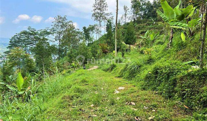 Jual Cepat Tanah 745m2 Murah Kemuning Karanganyar 2