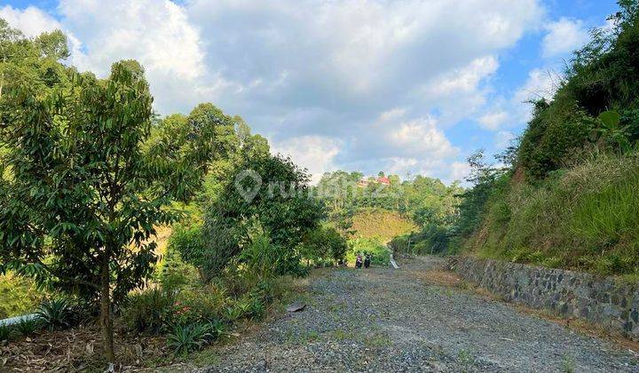 Tanah Dekat Telaga Ngargoyoso Karanganyar 2