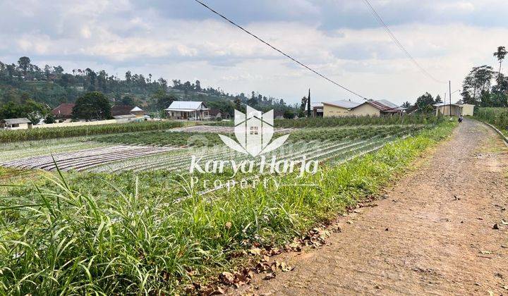 Tanah 2200m2 Dikelilingi Kebun Teh Kemuning 1