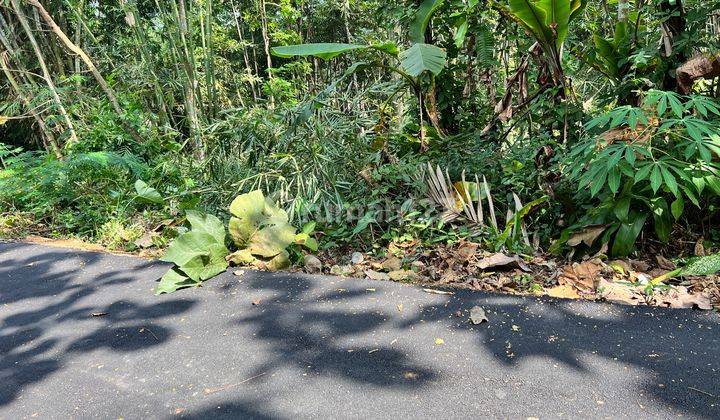 Jual Tanah 550m² Karangpandan Karanganyar 2