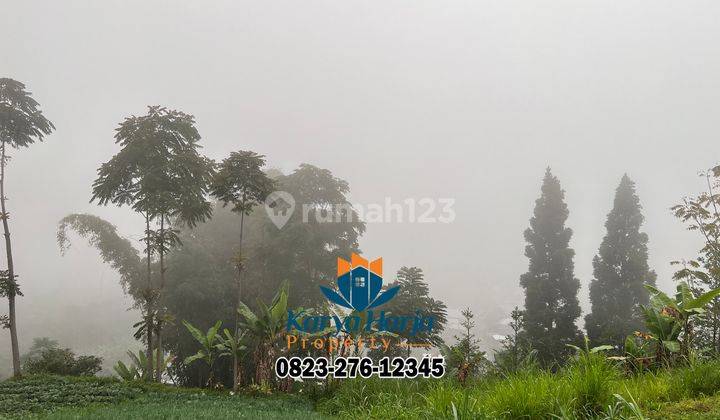 Tanah Cocok Bangun Villa 697m² Kemuning Karanganyar 2