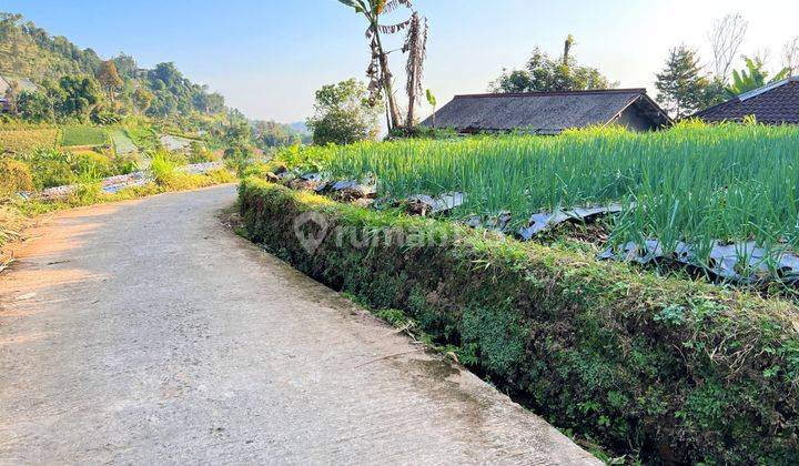 Tanah Datar Kemuning Ngargoyoso Karanganyar 1