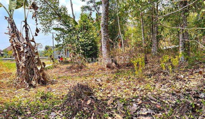 Tanah 1000m2 Siap Dibangun Villa Karangpandan, Karanganyar 2