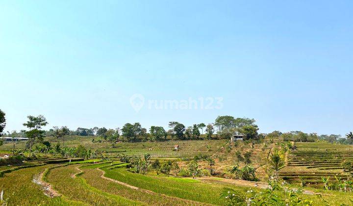 Tanah 500m² View Sawah Karangpandan Karanganyar 2